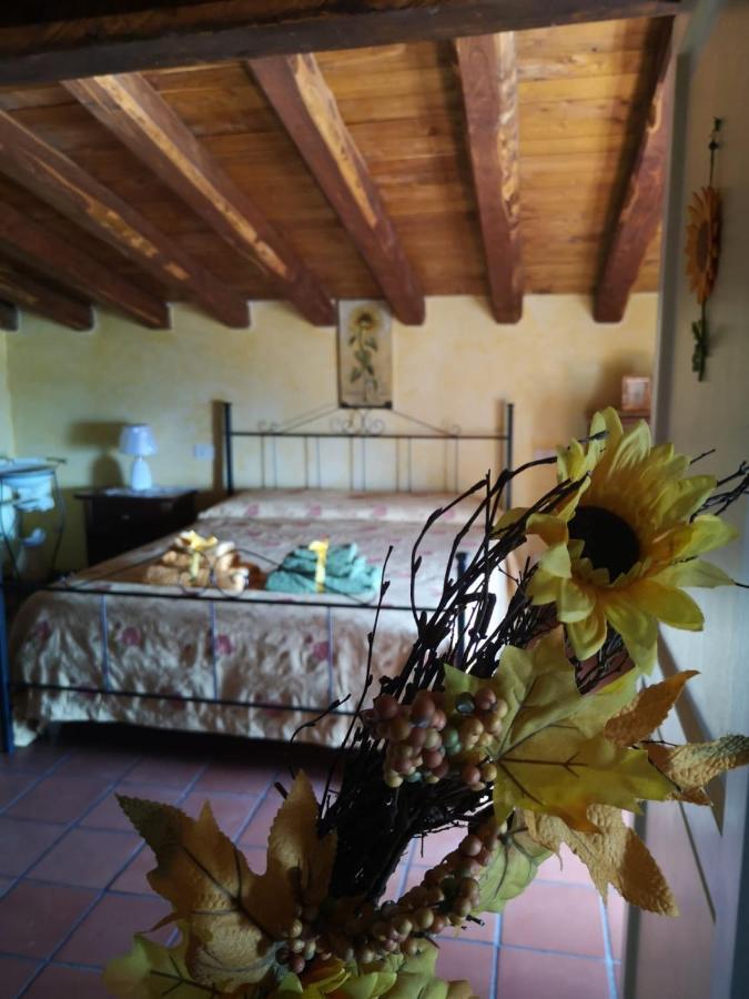 Centro Storico Bed & Breakfast Anagni Dış mekan fotoğraf