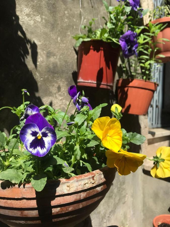 Centro Storico Bed & Breakfast Anagni Dış mekan fotoğraf