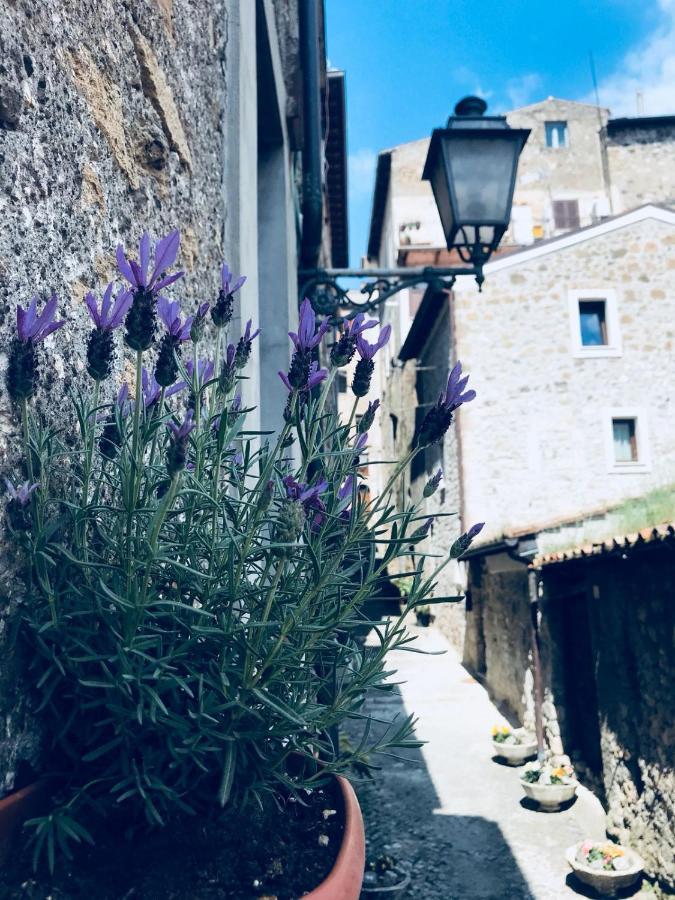 Centro Storico Bed & Breakfast Anagni Dış mekan fotoğraf