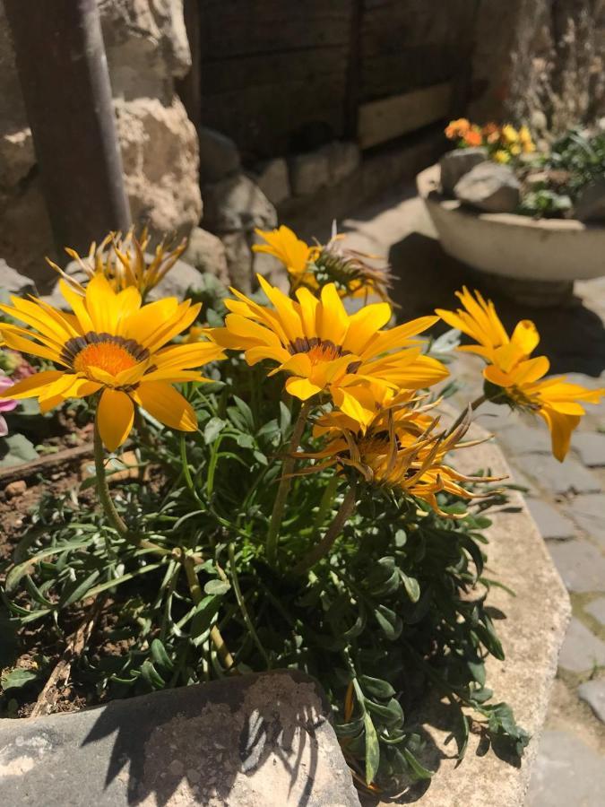 Centro Storico Bed & Breakfast Anagni Dış mekan fotoğraf