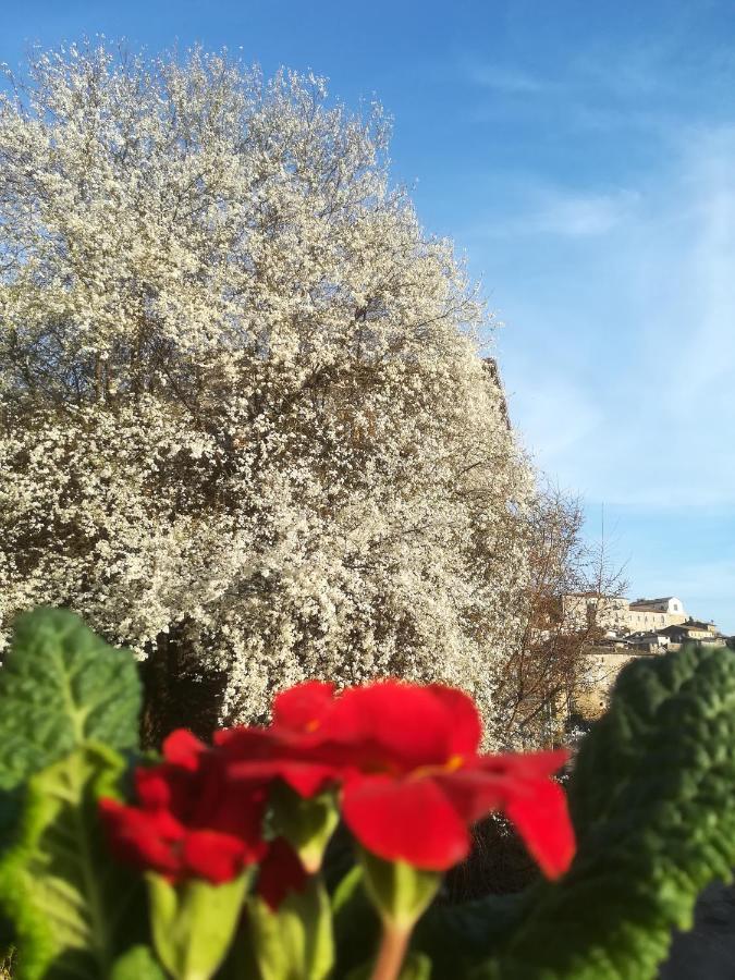 Centro Storico Bed & Breakfast Anagni Dış mekan fotoğraf